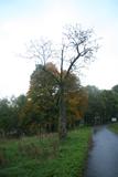 20141008_175342.jpg