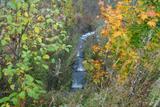 20141008_181826.jpg