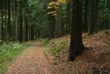 20141010_165949.jpg