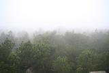 20141011_164917.jpg