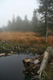20141011_171740.jpg